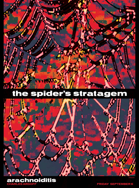 The Spider's Stratagem: Arachnoiditis